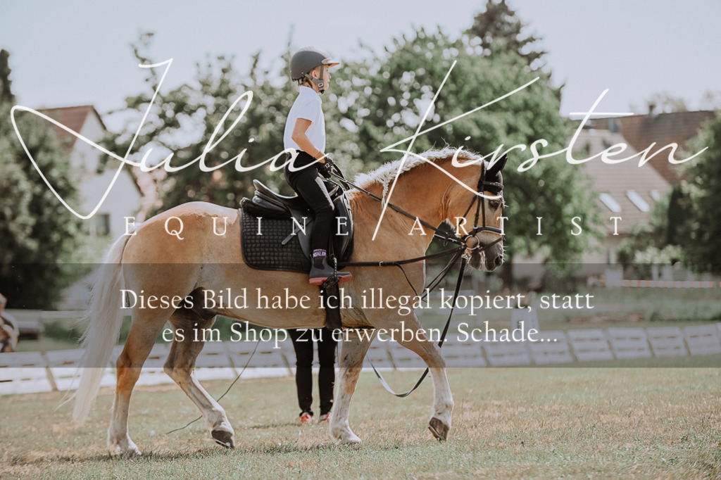 DSC_7759 | Pferde- und Turnierfotografie in Westsachsen. Pferdeportraits, Auftragszeichnungen und intuitive Kunst.