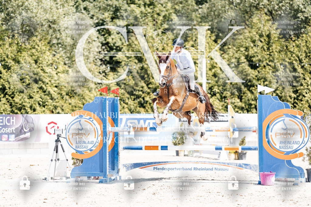 CK900211 | Turnierfotografie Pferdefotografie Trier Rheinland-Pfalz Pferdesport Reitsport Tierfotografie Sportfotografie Pferdevideo Pferdevideografie Equestrianvideography equestrianphotography  - Realisiert mit Pictrs.com
