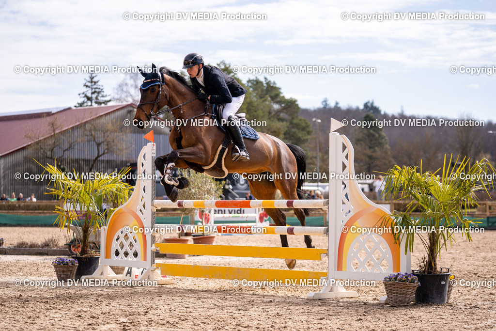 Kranichstein Tag 2-521 | dv-media-shop - Realisiert mit Pictrs.com