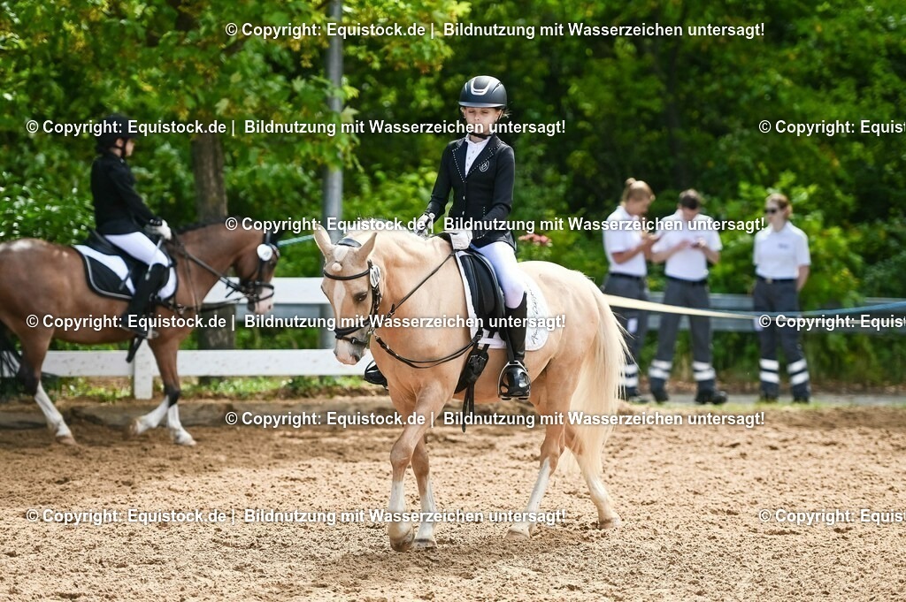 20230716_10-3_Reiter-WB Schritt - Trab - Galopp_0104 | equistock