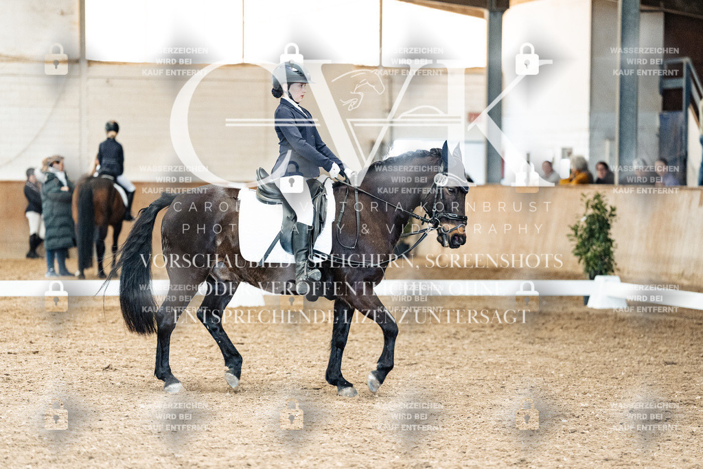 CK900335 | Turnierfotografie Pferdefotografie Trier Rheinland-Pfalz Pferdesport Reitsport Tierfotografie Sportfotografie Pferdevideo Pferdevideografie Equestrianvideography equestrianphotography  - Realisiert mit Pictrs.com