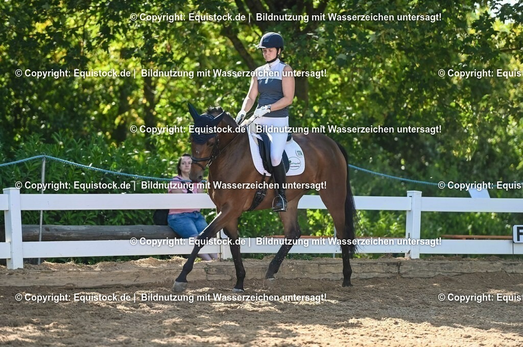 20230715_06_Dressurpferdeprfg. Kl.A_0402 | equistock