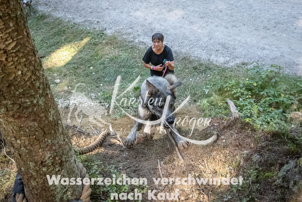 1137_ZZ91064 | kk-dogfotos