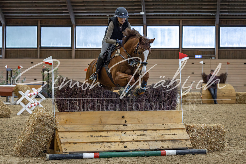 20260222-_3LI1335 | Tierfotografie Pferde, Hunde, Katzen, Haustiere.
Turnierfotografie Reitturniere, Reiten, Springreiten, Dressur in Hanau, dem Main-Kinzig-Kreis und dem Rhein-Main- Gebiet um Frankfurt