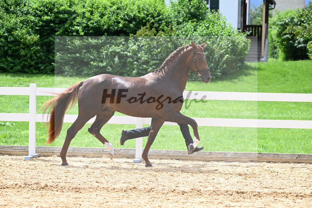 Valenziano_27140738 | hf-fotografie - Realisiert mit Pictrs.com