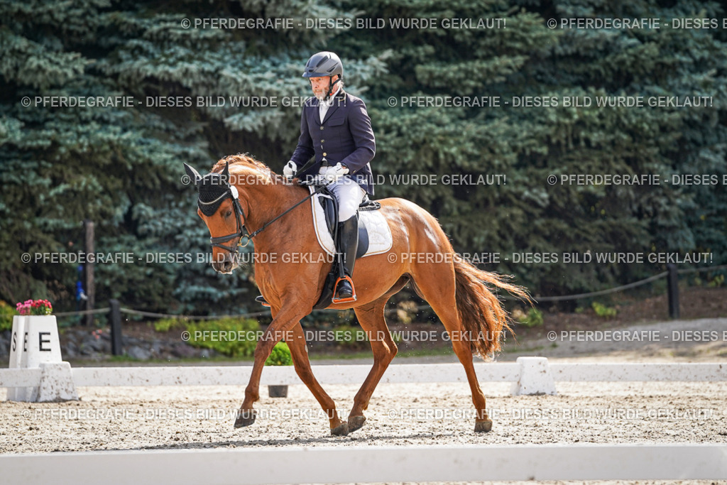 DSC06727 | Pferdegrafie