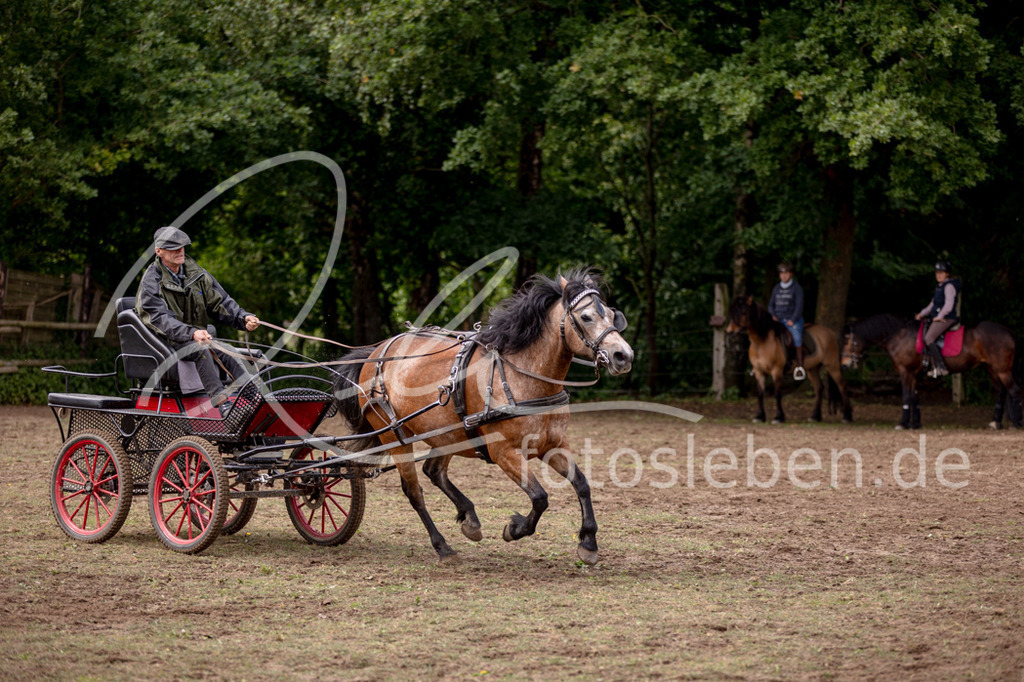 846A0818 | fotosleben - Realisiert mit Pictrs.com