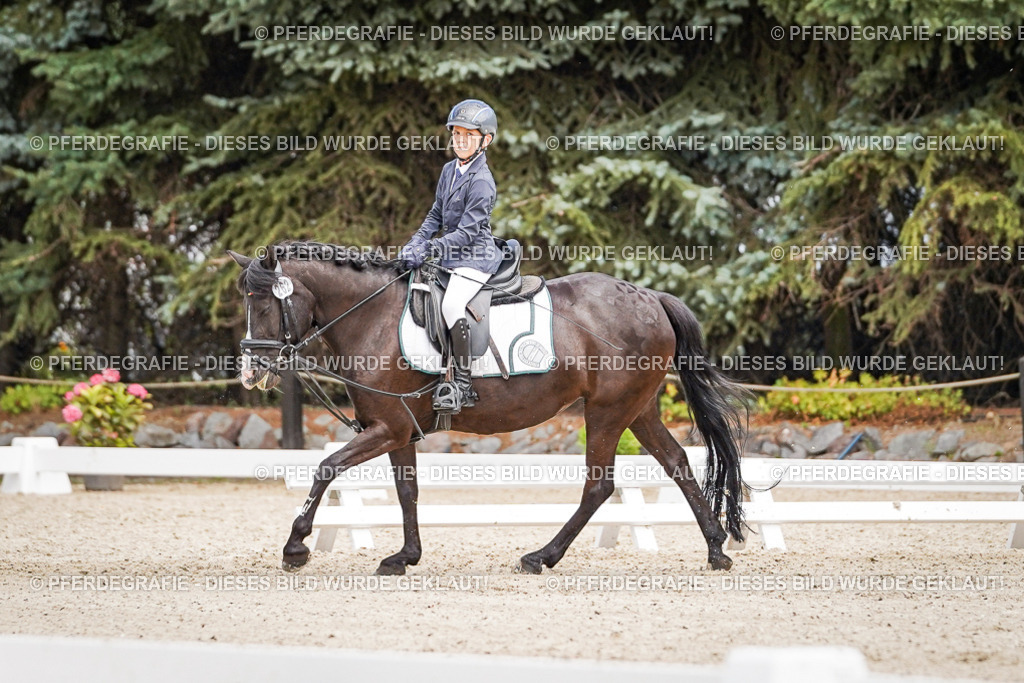 DSC02788 | Pferdegrafie