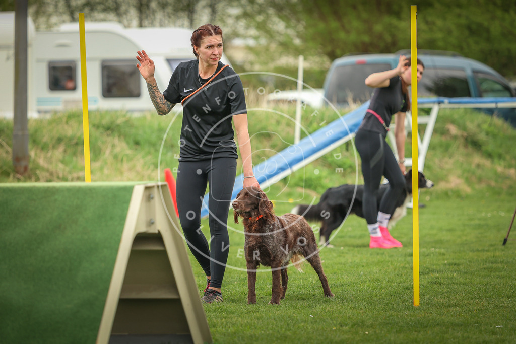 Pfotenfotografie_0L8A0727 | Hundefotografie, Tierfotograf, Pfotenfotografie, Fotoshooting Hund, Hunde Portrait, Hundesport, Hundeportraits, Heideshooting, Hunde, Sportfotograf, Hundefotograf, Turnierhundsport, THS,  - Realisiert mit Pictrs.com