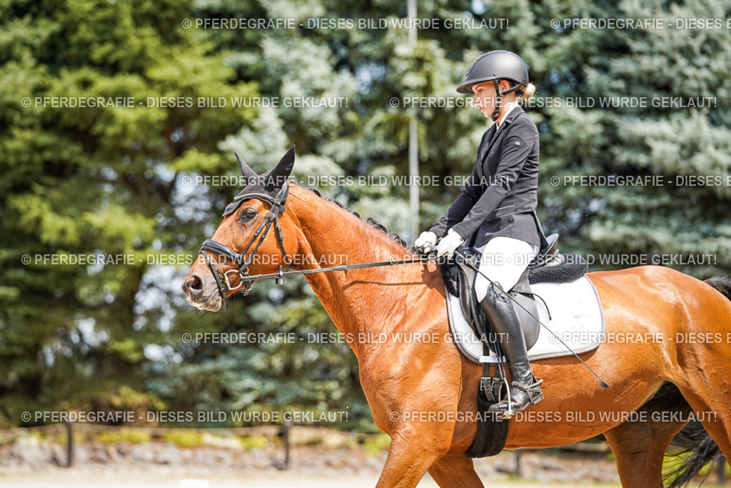 DSC03278 | Pferdegrafie