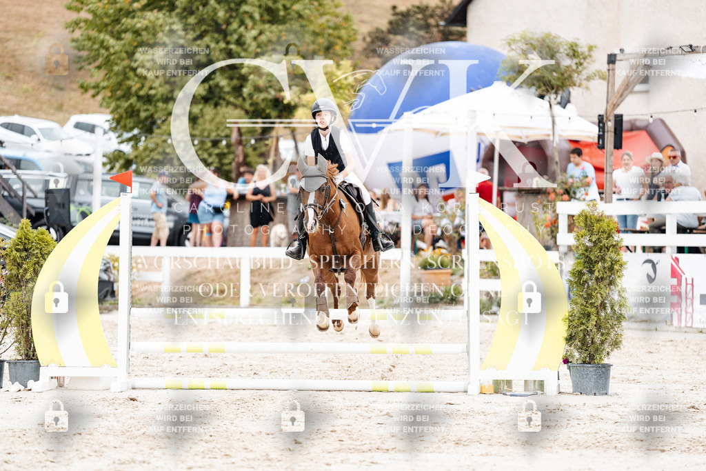 CK908434 | Turnierfotografie Pferdefotografie Trier Rheinland-Pfalz Pferdesport Reitsport Tierfotografie Sportfotografie Pferdevideo Pferdevideografie Equestrianvideography equestrianphotography  - Realisiert mit Pictrs.com