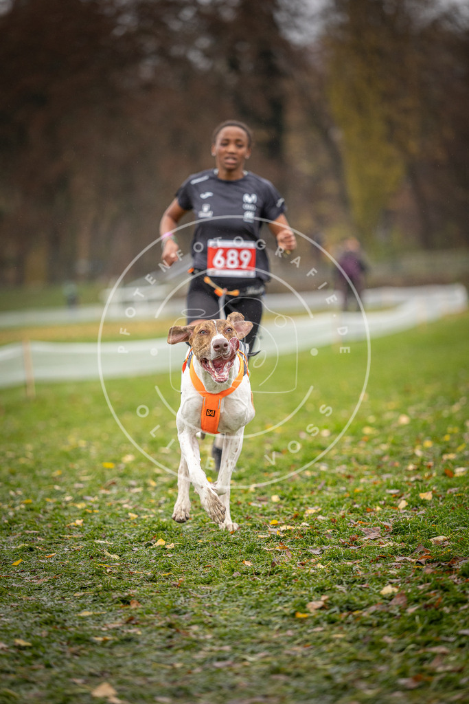 CaniXpix_DV3A8958 | Hundefotografie, Tierfotograf, Pfotenfotografie, Fotoshooting Hund, Hunde Portrait, Hundesport, Hundeportraits, Heideshooting, Hunde, Sportfotograf, Hundefotograf, Turnierhundsport, THS,  - Realisiert mit Pictrs.com