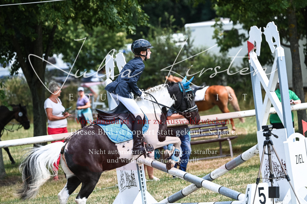 DSC_9746 | Pferde- und Turnierfotografie in Westsachsen. Pferdeportraits, Auftragszeichnungen und intuitive Kunst.