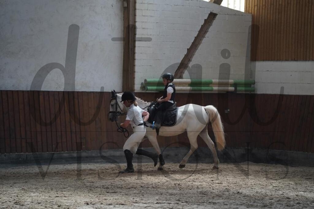 beckingen (1238) | d.tail Visions - Shop - Realisiert mit Pictrs.com