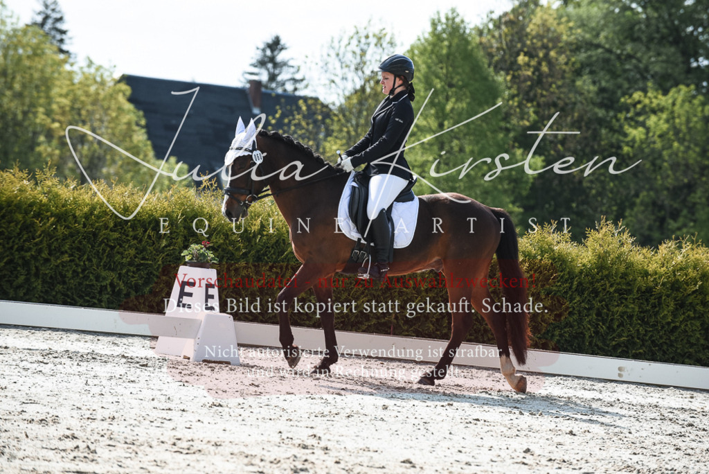 20230518_JK-Röhrsdorf-09-1356 | Pferde- und Turnierfotografie in Westsachsen. Pferdeportraits, Auftragszeichnungen und intuitive Kunst.