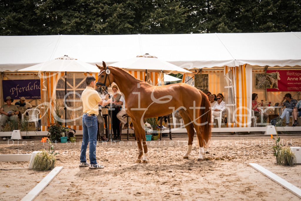 5.Fr00022 | Leoni Ertmer Photography - Realisiert mit Pictrs.com