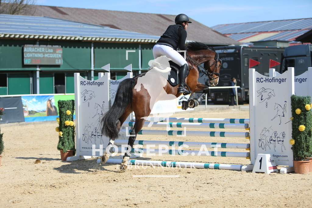 DL2Q3351 | Willkommen bei Brunnmayr - Design & Fotografie – Ihrem Spezialisten für Reitturniere und Pferdeveranstaltungen in Oberösterreich, Salzburg und Bayern! Seit über 17 Jahren sind wir leidenschaftlich dabei.