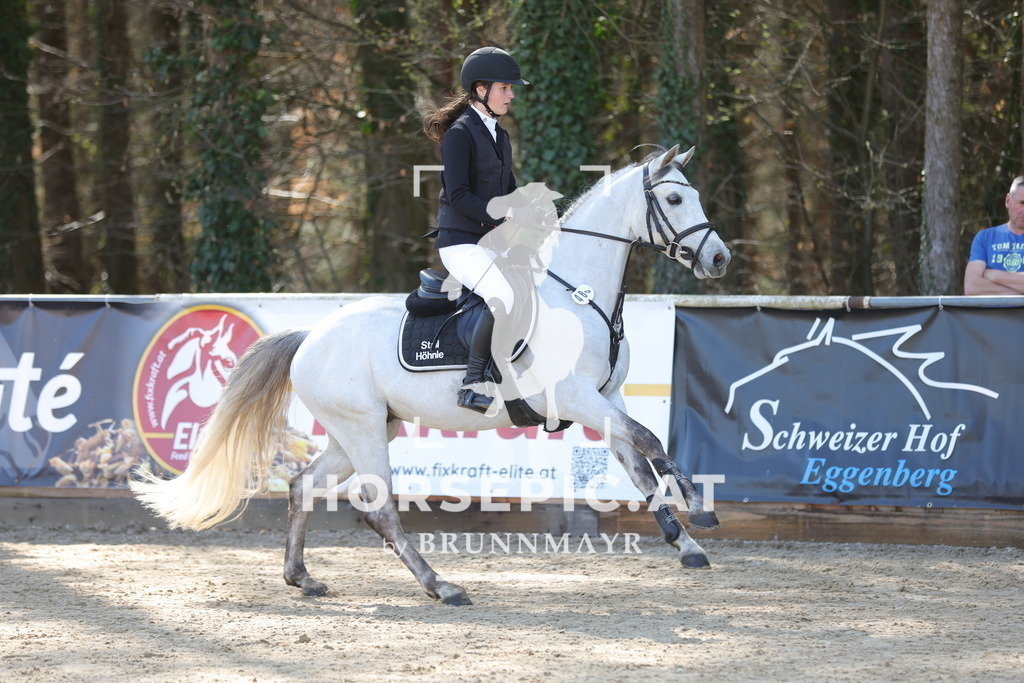 0P6A7199 | Willkommen bei Brunnmayr - Design & Fotografie – Ihrem Spezialisten für Reitturniere und Pferdeveranstaltungen in Oberösterreich, Salzburg und Bayern! Seit über 17 Jahren sind wir leidenschaftlich dabei.