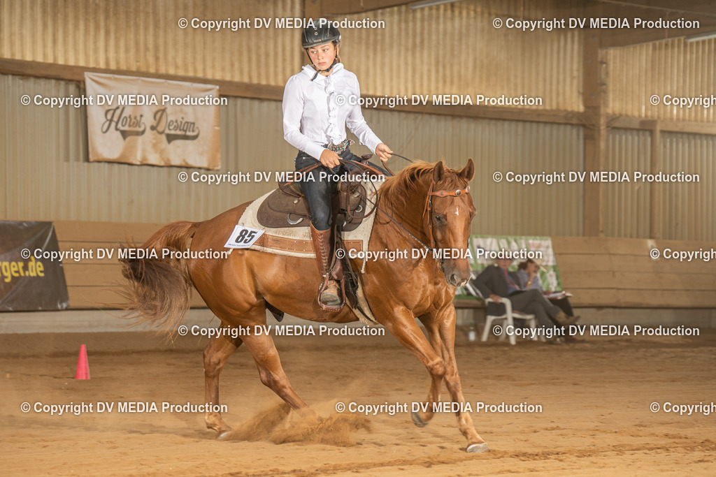 NID03024 | dv-media-shop - Realisiert mit Pictrs.com