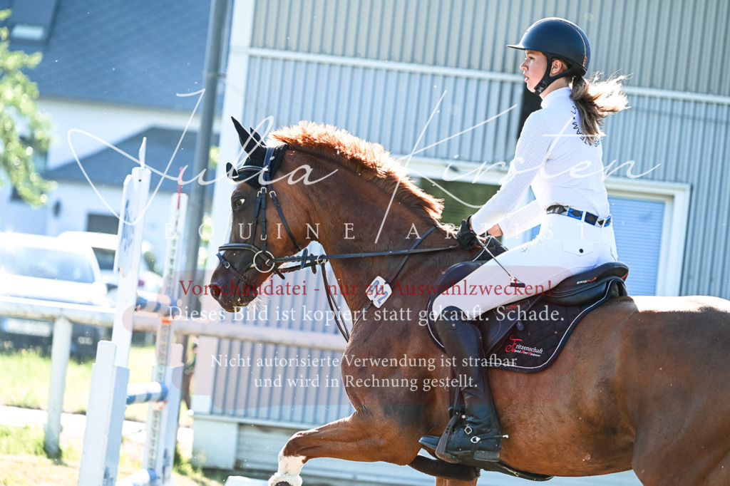 DSC_2762 | Pferde- und Turnierfotografie in Westsachsen. Pferdeportraits, Auftragszeichnungen und intuitive Kunst.