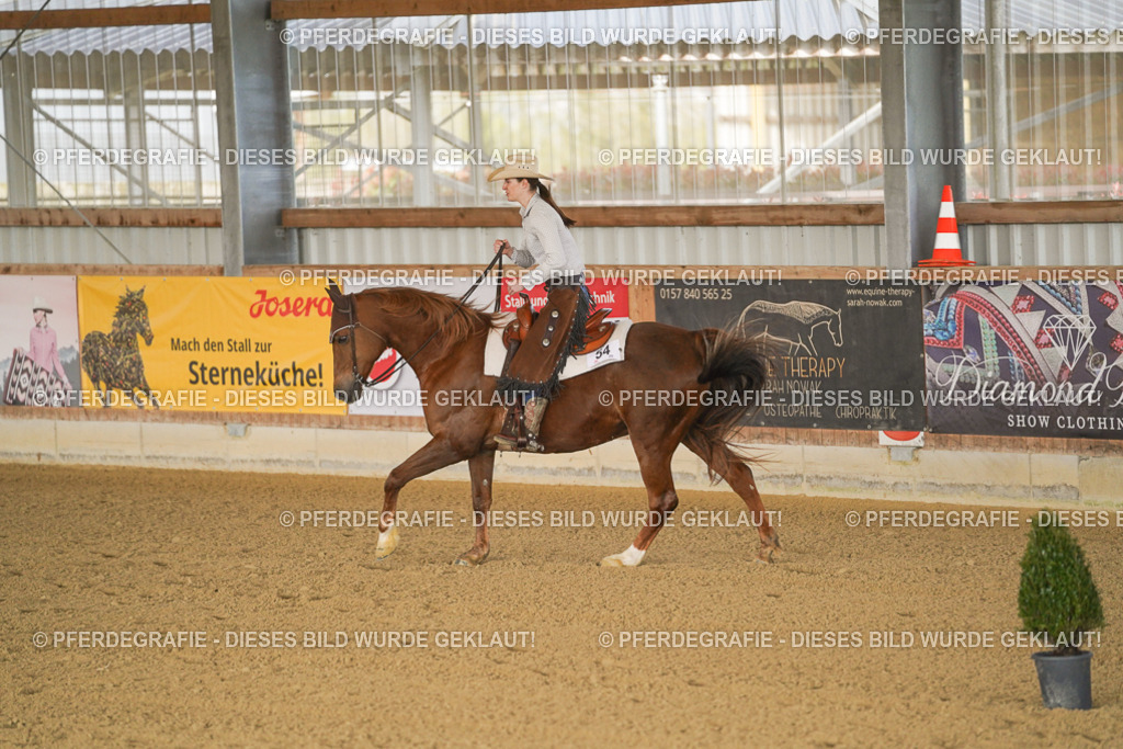 DSC01563 | Pferdegrafie