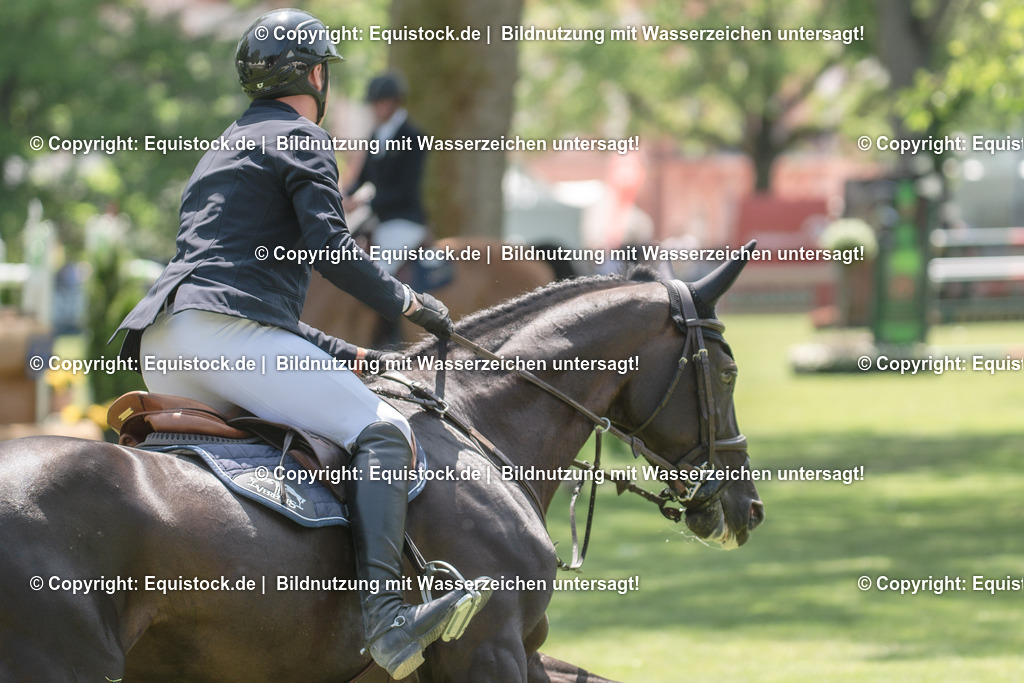 20230527_12_CSI4_Pfungstädter_0046 | equistock