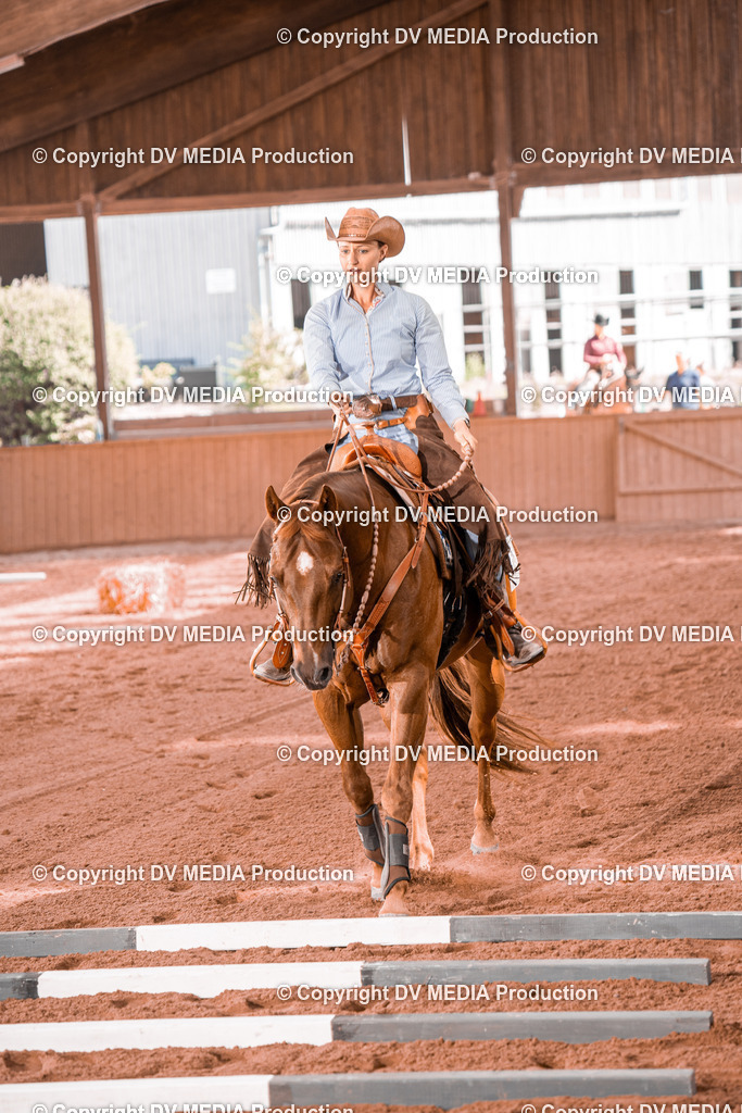 NE300270 | dv-media-shop - Realisiert mit Pictrs.com