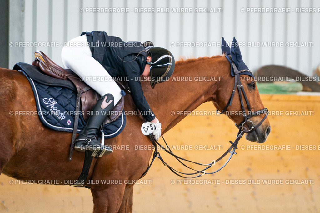 DSC01343 | Pferdegrafie