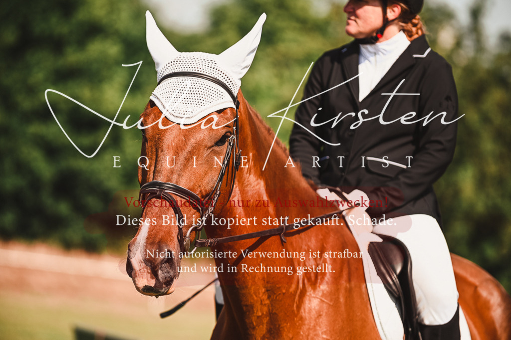 DSC_7353 | Pferde- und Turnierfotografie in Westsachsen. Pferdeportraits, Auftragszeichnungen und intuitive Kunst.