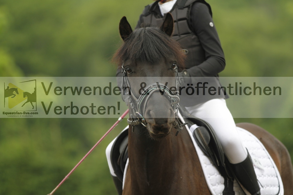 _MG_4400 | equestrian-live-com