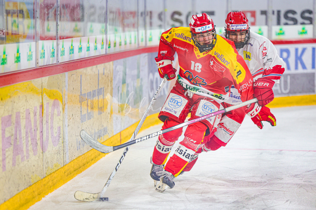 0316_WB_EHCB vs SCRJL_1244 | Sportbilder, Sportfotograf, Hochzeits- und Eventfotografin, Flugshows, Portraits und Tiershooting, Aviation, Downhill, Nationalleague, Swissleague, International