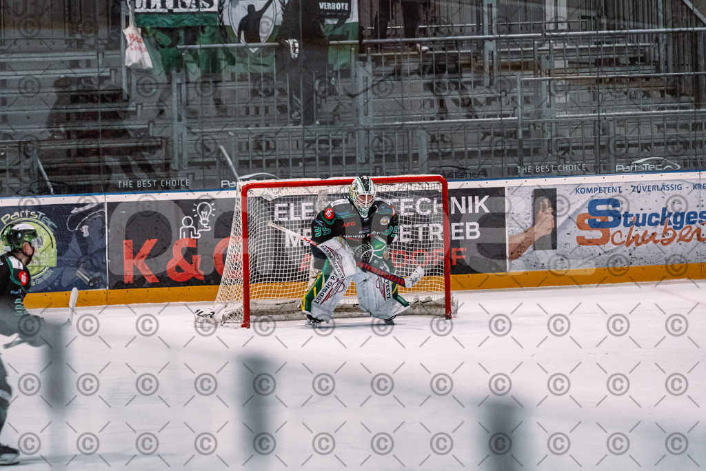 Alligators_vs_Erding_01_02_2026-16 | Höchstadt Alligators Fotogalerie: Eishockey-Action aus Franken. Professionelle Spielfotos, Portraits & Stadionbilder zum Download. Jetzt entdecken! - Realisiert mit Pictrs.com