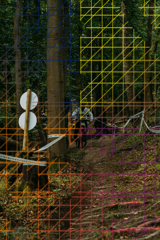 PAE-0232 | Einzigartige Fotokunst für dein Zuhause: Entdecke hochwertige Wandbilder, edle Prints und emotionale Motive von Wildlife, Natur und Landschaften - Realisiert mit Pictrs.com