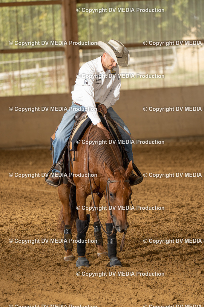 LAU01488 | dv-media-shop - Realisiert mit Pictrs.com