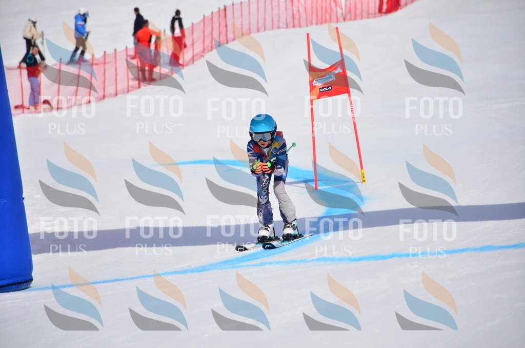 VR4_6631 | holidayphoto