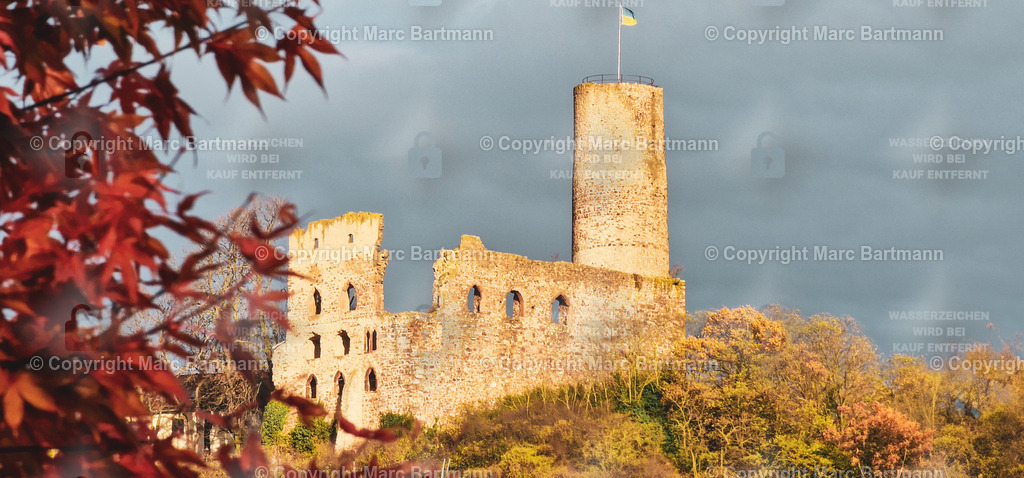 20231121_150034 | Marc Bartmann - Fotografie Schriesheim - Realisiert mit Pictrs.com