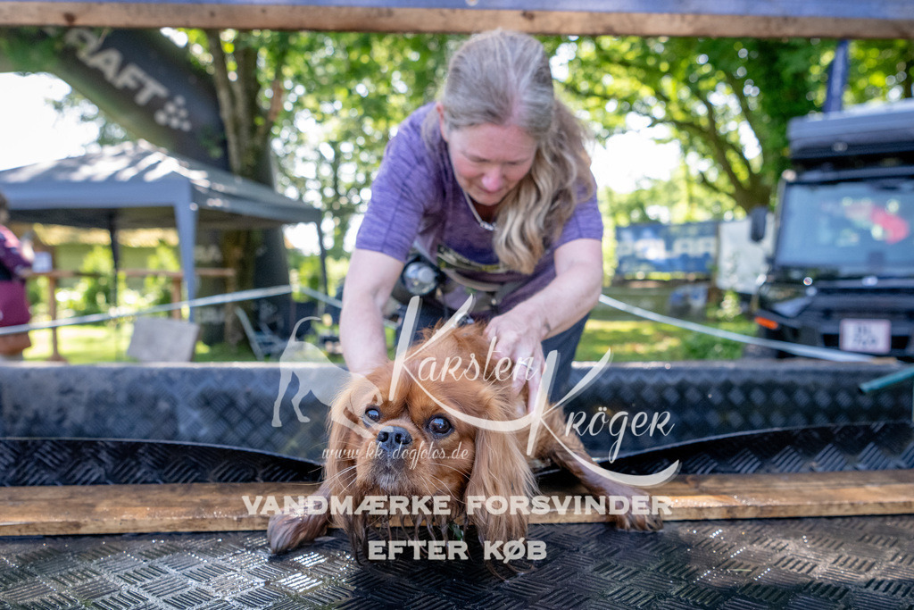 1532_ZZ91726 | kk-dogfotos