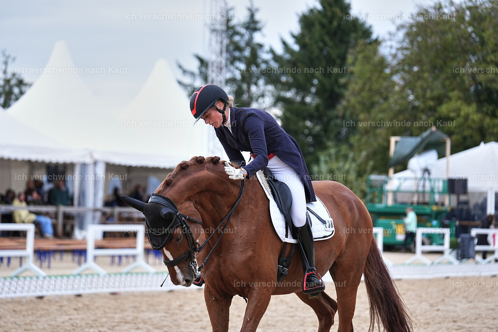 12-238-DRESSUR  S___  -Marixx-5217 | working equitationturnier fotograf videograf stoibphotography marixx film working equitation deutschland reitsport turnierfotografie eventfotografie equestrian events