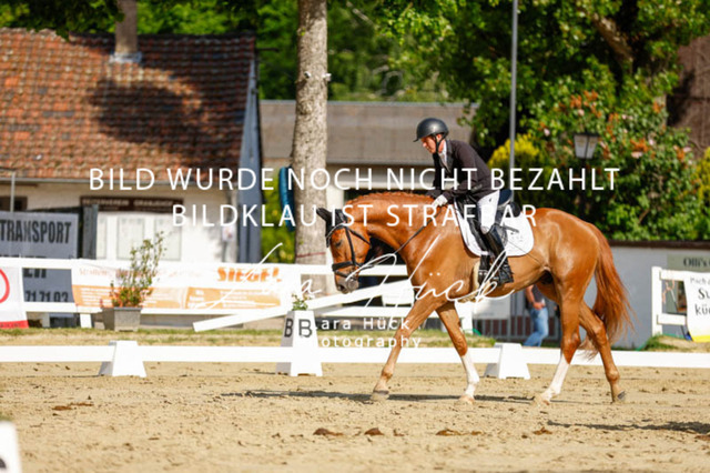 _62_2523 | larahueckfotografie