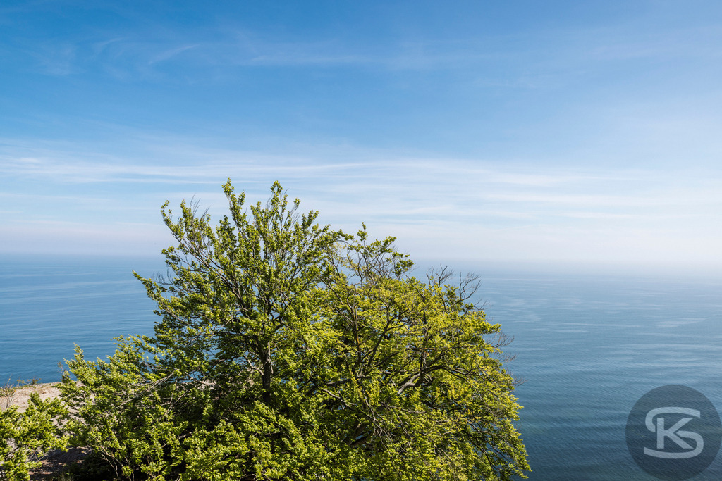 Ausblick über die Ostsee vom Nationalpark Jasmund  | Ausblick von den weißen Kreidefelsen im Nationalpark Jasmund der Insel Rügen über die Ostsee und umgeben von grünem Buchenwald. - Realisiert mit Pictrs.com