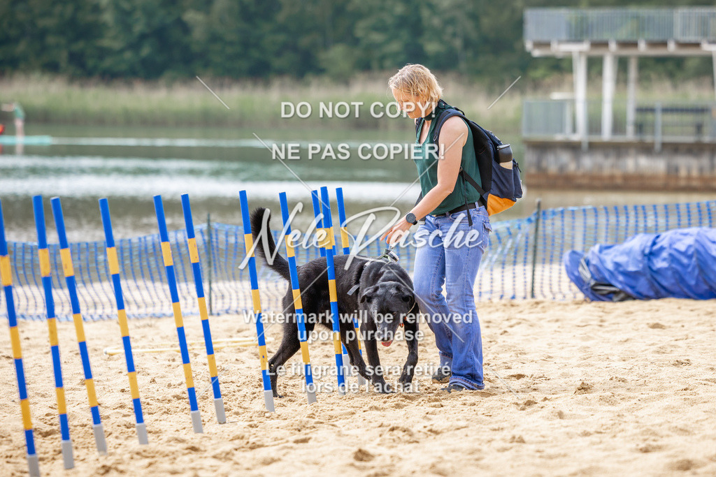 nelerasche_BuHu2026_So1430-1530_244 | nelerasche
