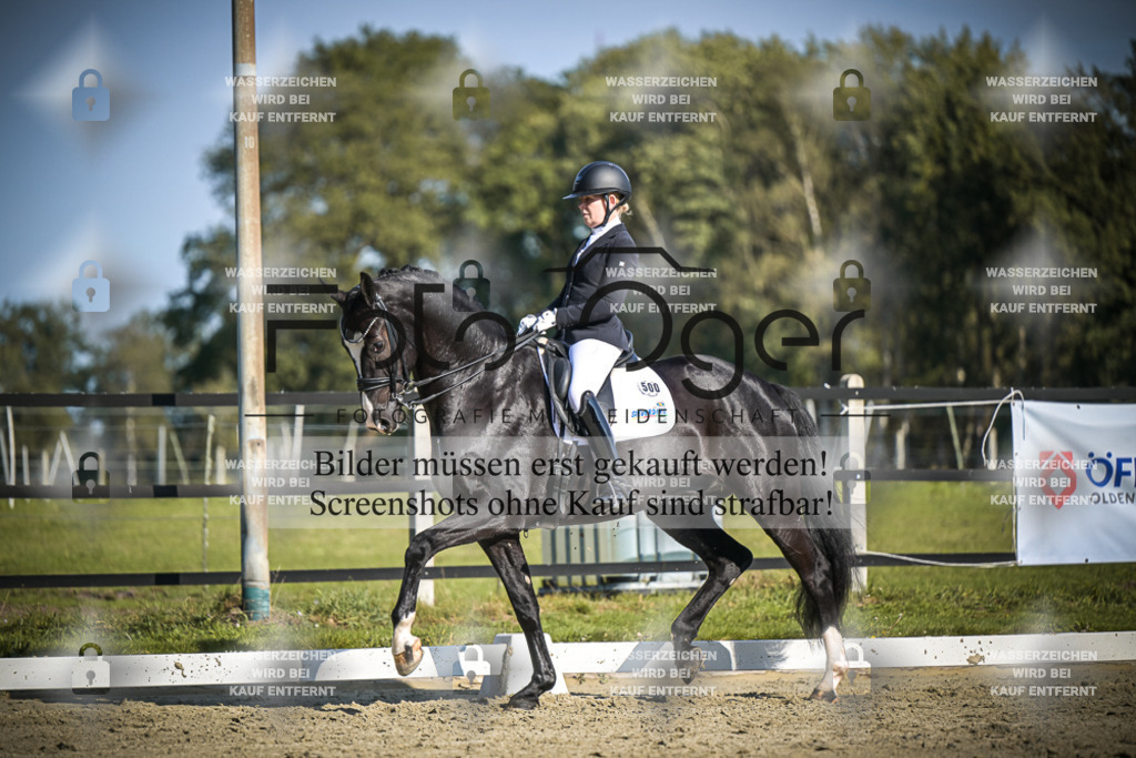 DOS_2829 | Entdecke hochwertige Reitturnierfotos von Foto Oger. Professionell, emotional und authentisch – jetzt Lieblingsmomente im Shop bestellen.Deutschlandweite Turnierfotografie. - Realisiert mit Pictrs.com