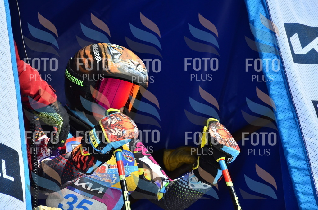 _ELE0011 | holidayphoto