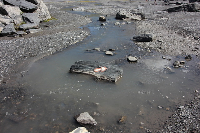 IMG_3378 | Raphael - Realisiert mit Pictrs.com