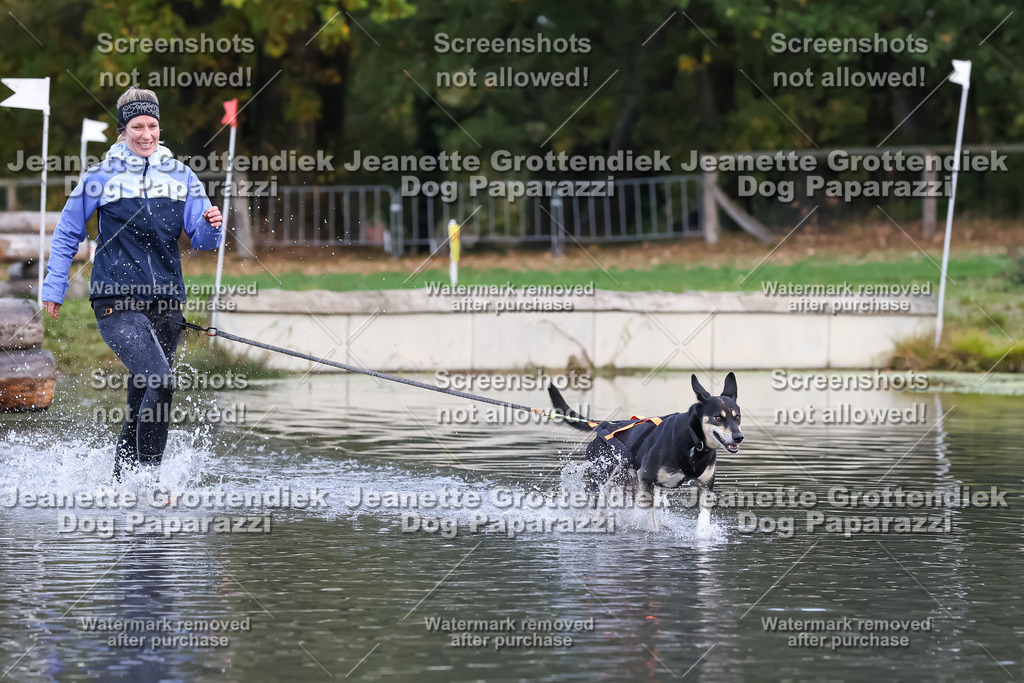 Dog Paparazzi - Strongdog 10-25-6617 | Dog Paparazzi Jeanette Grottendiek Fotografie & Videografie