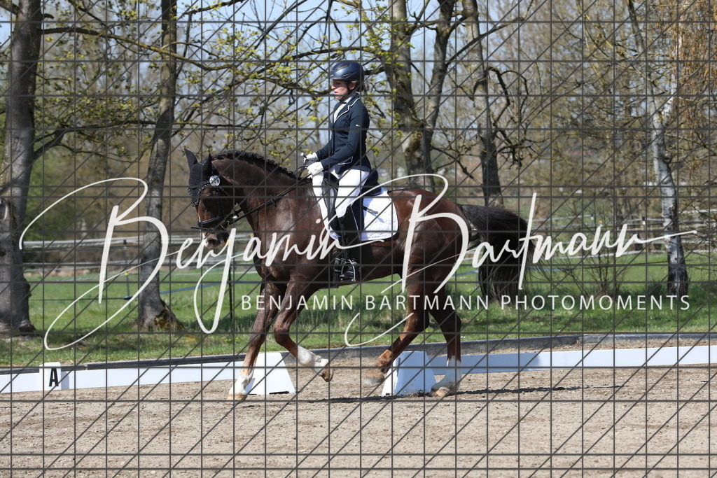 AZ2A4667 | Benjamin Bartmann Photomoments