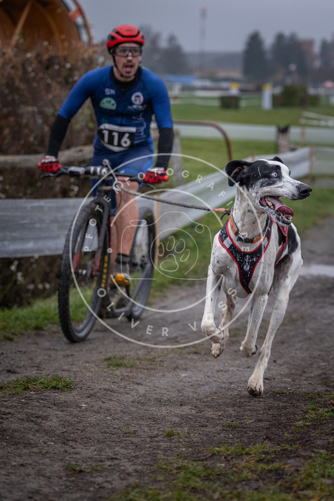 CaniXpix_0L8A0657 | Hundefotografie, Tierfotograf, Pfotenfotografie, Fotoshooting Hund, Hunde Portrait, Hundesport, Hundeportraits, Heideshooting, Hunde, Sportfotograf, Hundefotograf, Turnierhundsport, THS,  - Realisiert mit Pictrs.com