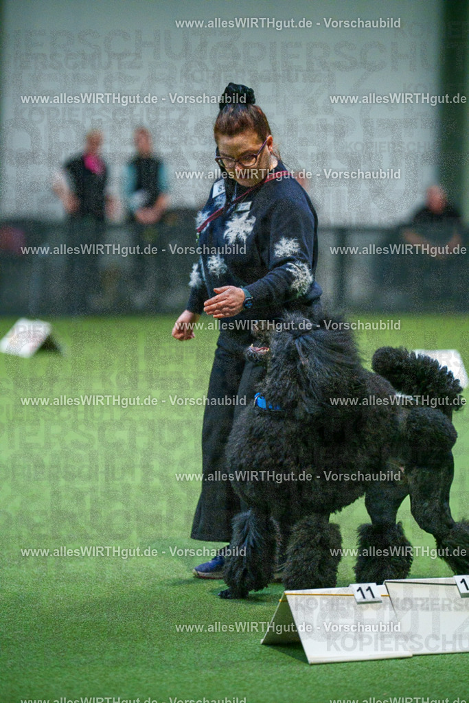 7R503433 | Professionelle Tierfotografie in Mönchengladbach von Daniel Wirth (allesWIRTHgut). Liebevolle & natürliche Bilder von Hunden & Katzen für unvergessliche Erinnerungen.