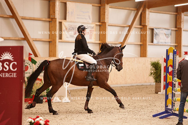 1J2A8307Catharina Friederike Glöe_ Reffaello_ Kn440_ Glantz_ Hohen Wieschendorf | Foto- und Videografie für alles rund ums Pferd. Hochwertige Bilder und Videos vom Spring- und Dressurreiten, Voltigieren & mehr. Jetzt aktuelle Veranstaltungen und Preise im Shop ansehen. - Realisiert mit Pictrs.com
