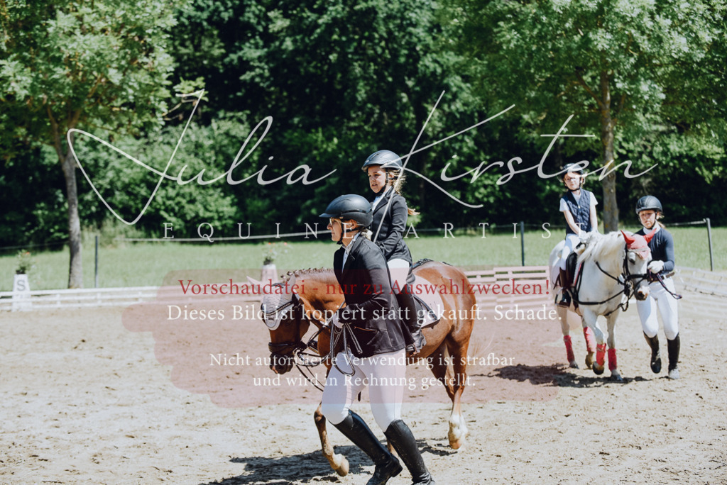 DSC_2616 | Pferde- und Turnierfotografie in Westsachsen. Pferdeportraits, Auftragszeichnungen und intuitive Kunst.